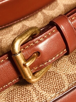 Luxury Bag Craftsmanship-Brown leather bag strap featuring a polished gold metal buckle and precise stitching.