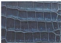 Replica Handbag Store Leather Types-Porosus crocodile in shiny noir—symmetrical square scales, pore in each center, ultimate luxury for Himalaya Kelly.