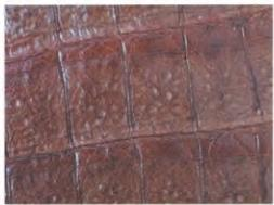 Replica Handbag Store Leather Types-Caiman leather in matte vert bronze—bonier scales with white medial ridges, entry-level exotic for vintage pieces.