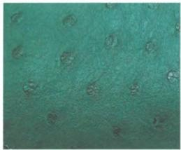 Replica Handbag Store Leather Types-Ostrich leather in fuchsia—iconic quill bumps across the crown, soft oil-touched finish, once the rarest Hermès skin.