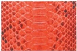 Replica Handbag Store Leather Types-Reticulated python in natural gradient—light center, dark edges, visible scale overlap, used for limited-edition Herbags.