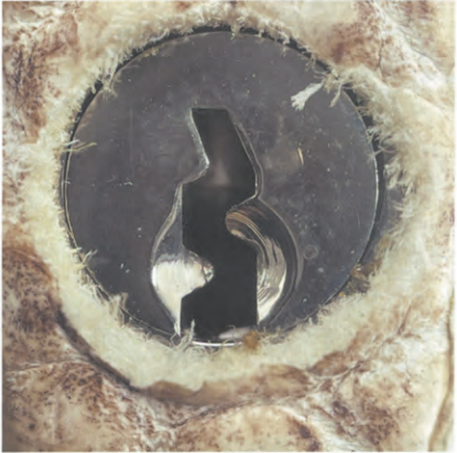  Replica Sunglasses Birkin lock surface: smooth, flawless, premium metal finish