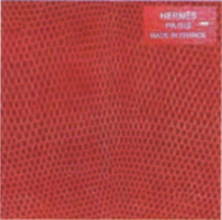 Hermès Niloticus lizard leather surface – exotic skin used in luxury bag crafting.