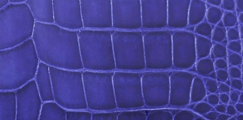 Chanel Alligator Crocodile